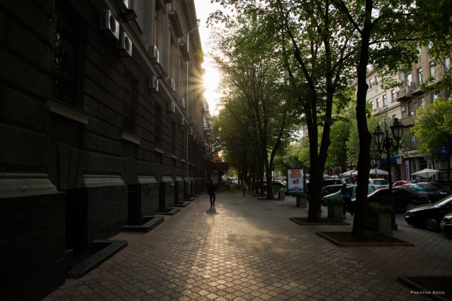 One of Odessa's many tree-lined streets in the city centre.